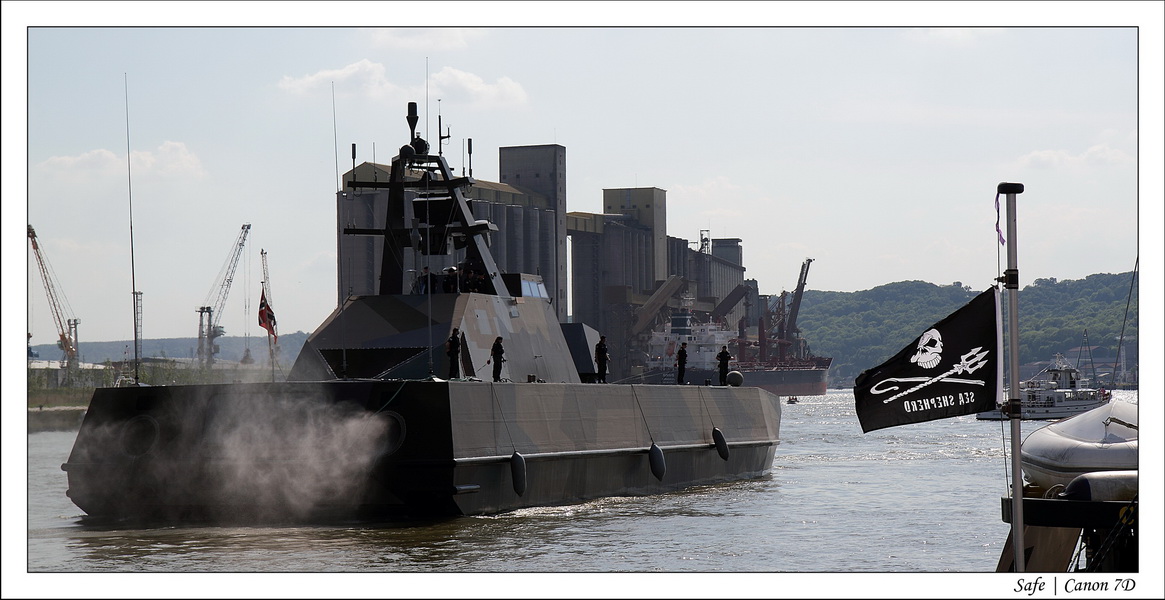 2013 - 06 - Armada Rouen 179